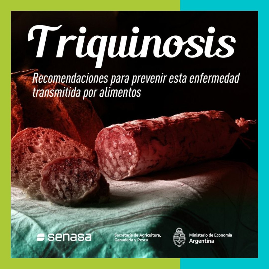 Triquinosis: pautas para prevenirla